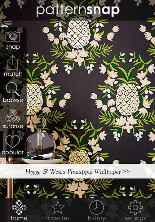 pattersnap: An app every interior designer needs