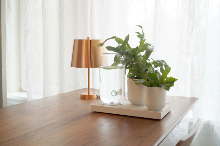 Tableau Automatic Houseplant Watering Tray by Pikaplant