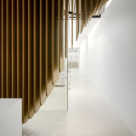 Pedra Silva Arquitectos Designs High-end Dental Clinic in Sydney